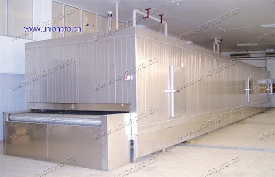 tunnel individual quick freezer