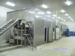 Fluidized Tunnel Quick Freezer